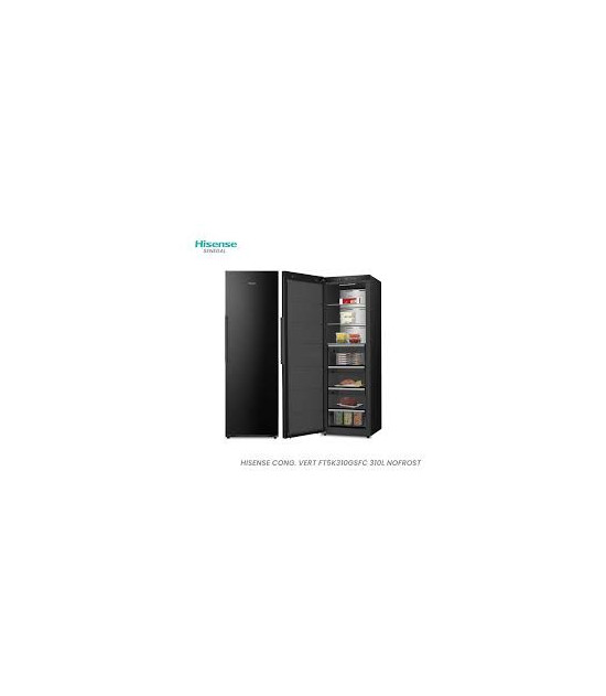 Congélateur + Réfrigérateur Vertical No Frost Grand Modèle