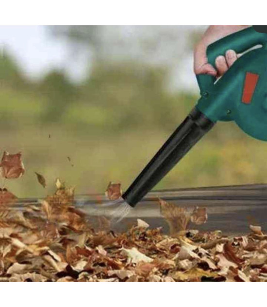 Aspirateur souffleur électrique